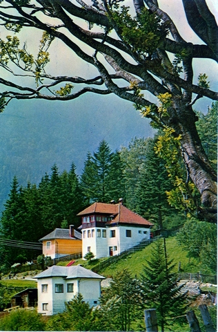 1438-3 - Busteni